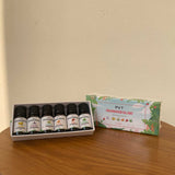 Fragrance Oil Set Pack of 6